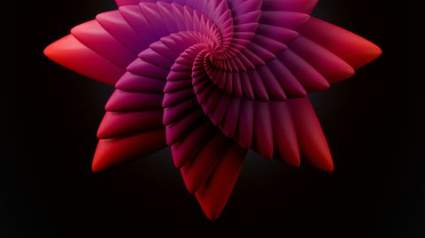 It is a minimum content for, it can be the same It is a minimum content for, it can be the same